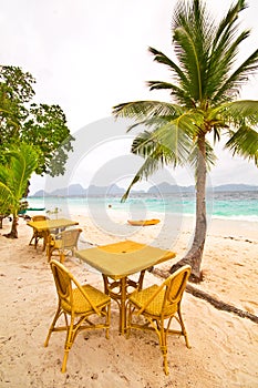 Beach Table under Palm