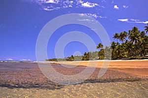 Beach of Taipu de Fora, Bahia (Brazil)