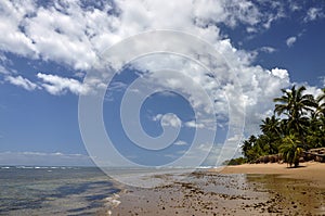 Beach of Taipu de Fora, Bahia (Brazil)