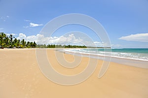 Beach of Taipu de Fora, Bahia (Brazil) photo