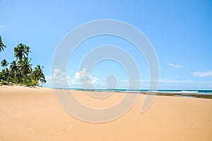 Beach of Taipu de Fora, Bahia (Brazil) photo