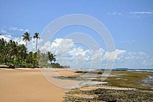 Beach of Taipu de Fora (Bahia, Brazil) photo