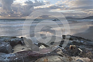 Beach of Tarifa photo