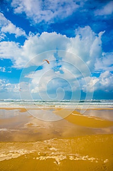 The beach in Tel Aviv in storm  day