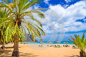 Beach of Tenerife, Canary Islands, Spain photo