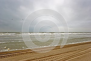 Beach of Texel