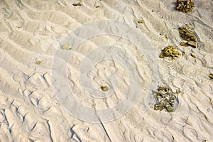 The beach texture