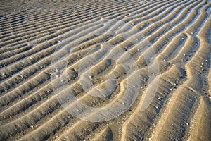 Beach with textured sand