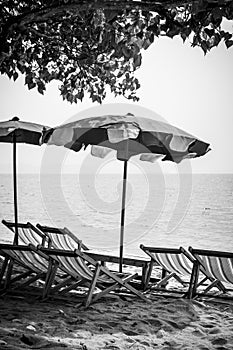 Beach in Thailand with chaise longues and parasols