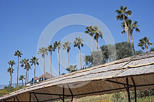 Beach thatched canopy in a tropical resort for summer holidays