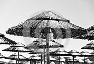 Beach thatched parasols