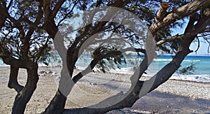 On the beach of Theologos, Rhodes Island, Greece.