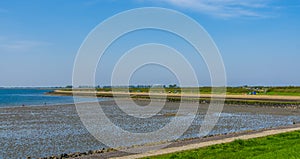 The beach of tholen with visitors, popular beach in zeeland, Bergse diepsluis, Oesterdam, The Netherlands