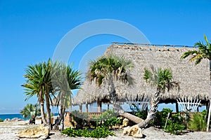 Beach Tiki Hut Bar