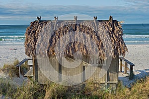 Beach Tiki Hut Bar on the Ocean