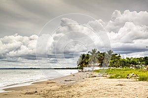 Beach in Tolu