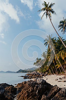 Beach with towering palm trees and a rocky shore as a person wades in the waters at sunset