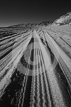 Beach Tracks Infrared 2