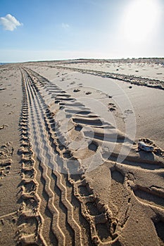 Beach tractor tire track in sand. Perspective and vanishing point.