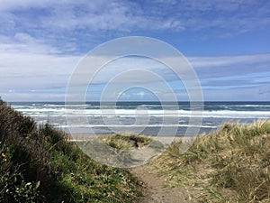 Beach trail with sand and grasses lining the trail