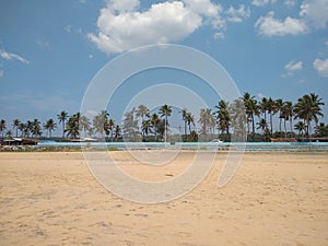 beach with trees, Pozhikkara beach Kollam Kerala photo