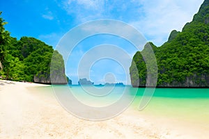 A beach with trees and water generated by ai photo
