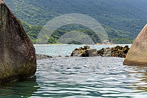 Beach and tropical forest in Trindade