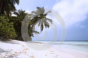 Beach of tropical island photo