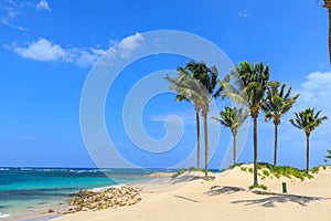 Beach on the tropical island. Clear blue water, sand and palm trees. Beautiful vacation spot, treatment and aquatics. Dominican