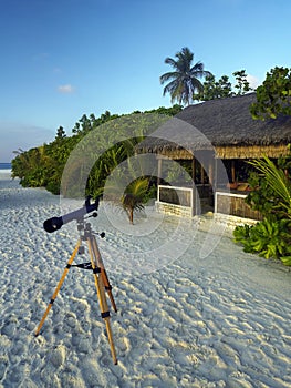 Beach in the tropical paradise of The Maldives