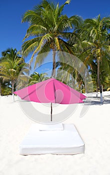 Beach tropical umbrella mattress palm trees