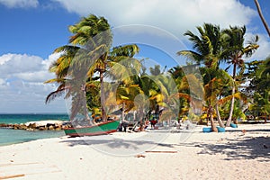 Beach in tropics. Isla Saona, La Romana, Dominicana photo