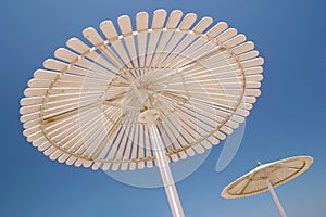 Beach umbrella