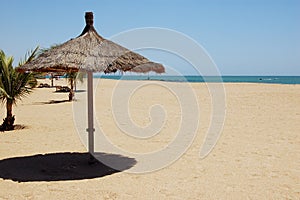 Beach Umbrella