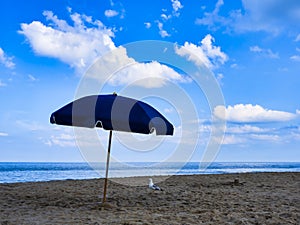 Beach Umbrella Alone Except for Gull
