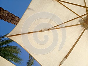 Beach umbrella on the background of palm trees and blue sky