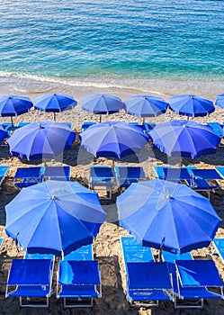 Beach Umbrella III