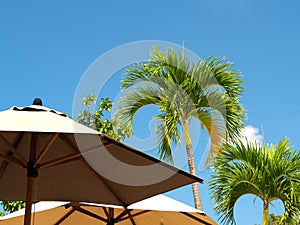 Beach umbrella isolated on blue sky