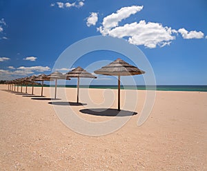 Beach umbrellas