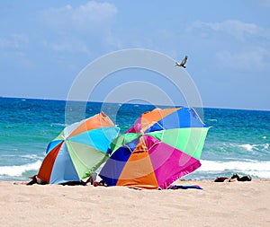 Beach Umbrellas on the Caribbean Shore