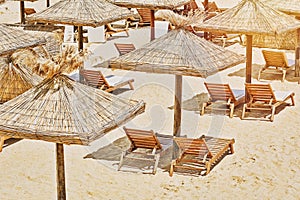 Beach Umbrellas and Lounge Chairs