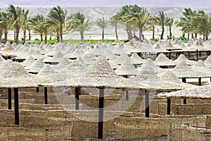 Beach umbrellas and sunbeds in Egypt