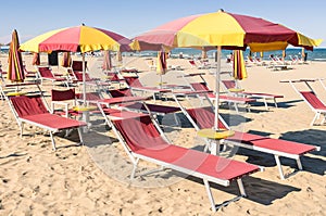 Beach Umbrellas and Sunbeds at the start of the Season - Rimini