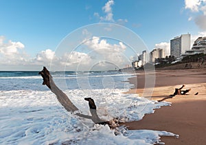 Beach at Umhlanga Rocks