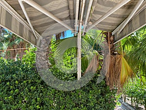 Beach vacation concept. Beach umbrella and leaves of palm trees against sky