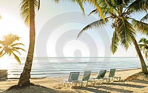 Beach Vacation With Palmtrees And Deckchairs