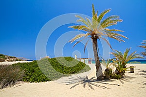 Beach Vai called Bounty beach on Crete