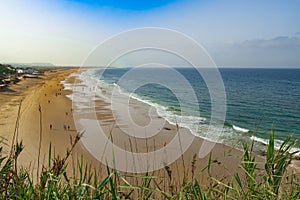 Beach among the vegetation with tourists strolling