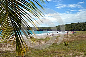 Beach on vieques