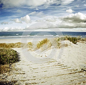 Beach view